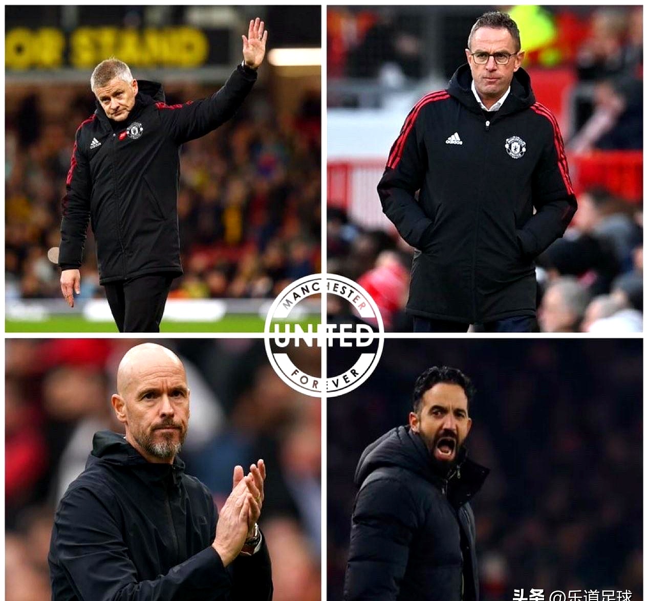 包含休斯敦火箭训练开放日；今晨单刀错失引欢呼；英超在即；更衣室氛围转暖的词条